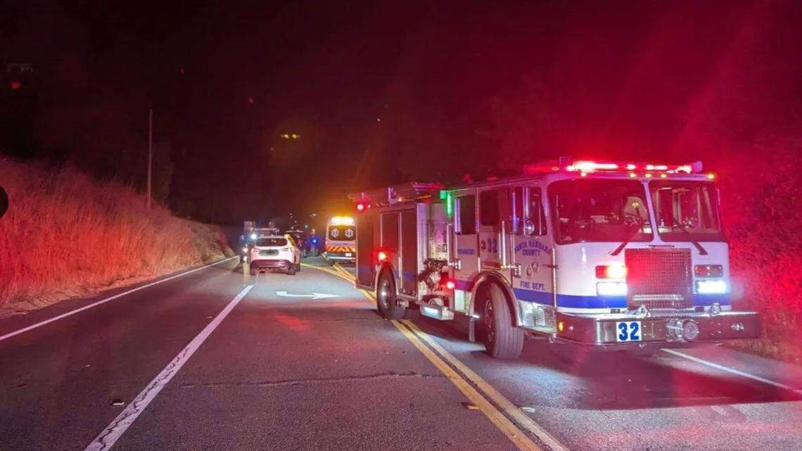 Woman, dog hit and killed by vehicle on Central Coast highway