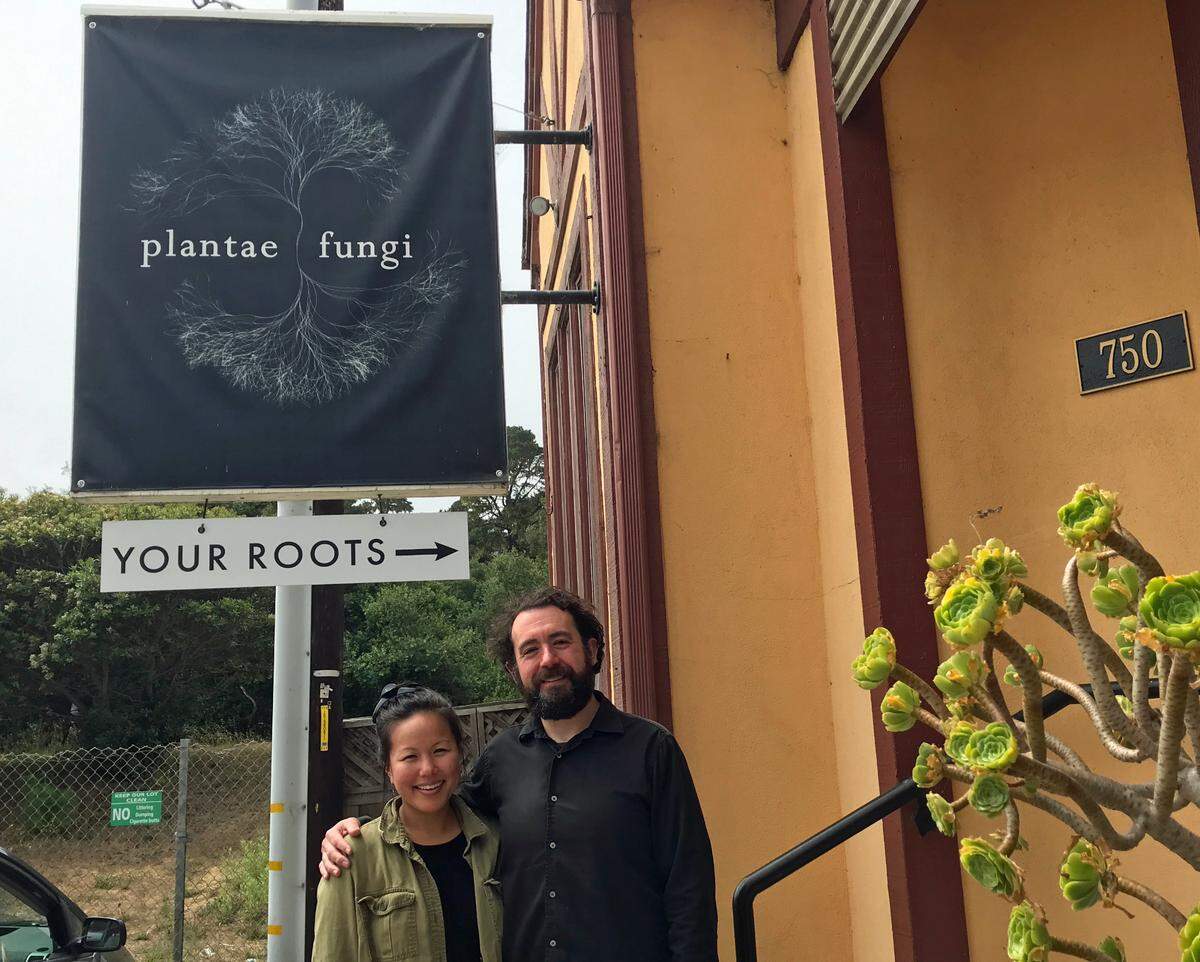 Life and business partners Meho Watanabe and Michael Coulson sell a wide range of wellness products, many of which they make themselves, at their Plantae & Fungi store in Cambria.