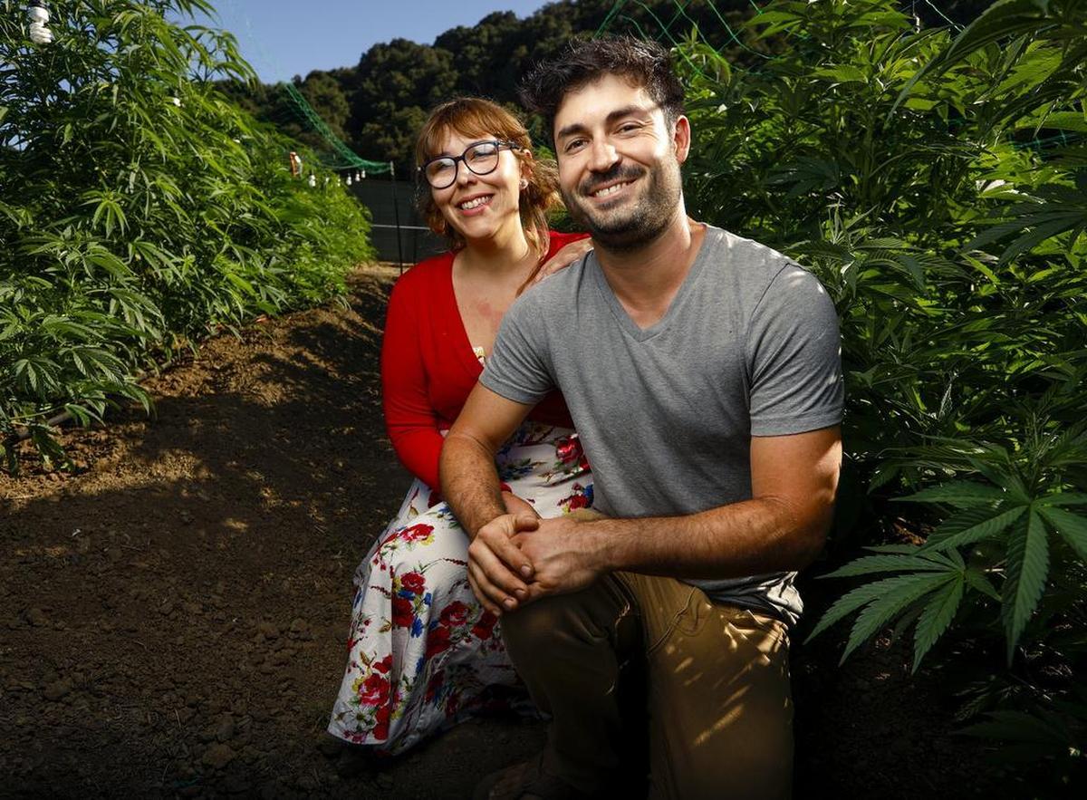 Megan’s Organic Market, a cannabis delivery business, is owned Megan Souza and Eric Powers seen here at their marijuana farm in Los Osos. Souza said Tuesday she supports the SLO cannabis guidelines for starting a business.