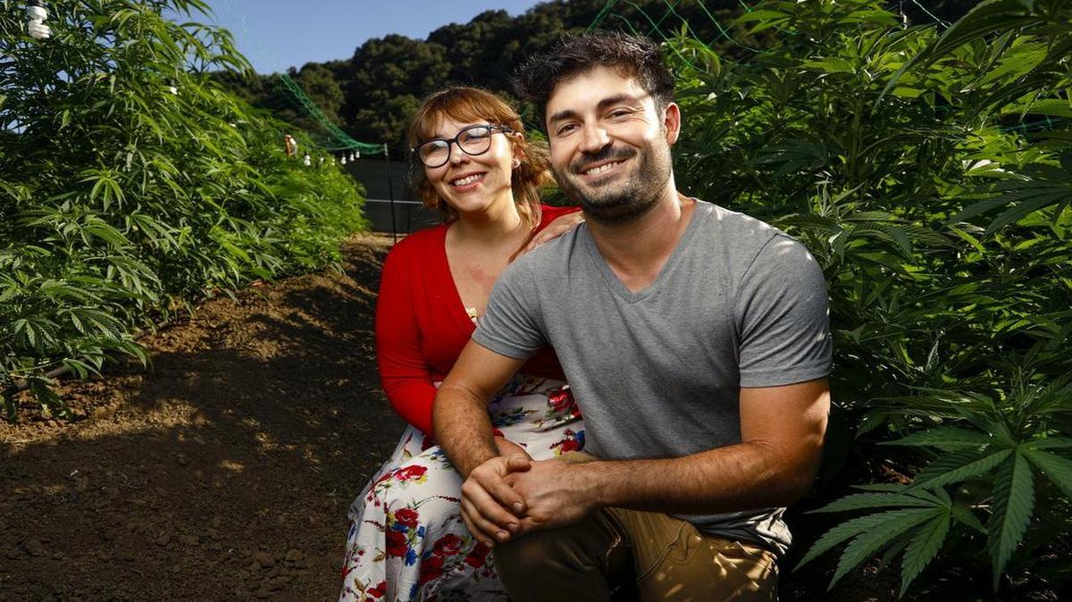 Megan’s Organic Market, a cannabis delivery business, is owned Megan Souza and Eric Powers seen here at their marijuana farm in Los Osos. Souza said Tuesday she supports the SLO cannabis guidelines for starting a business.