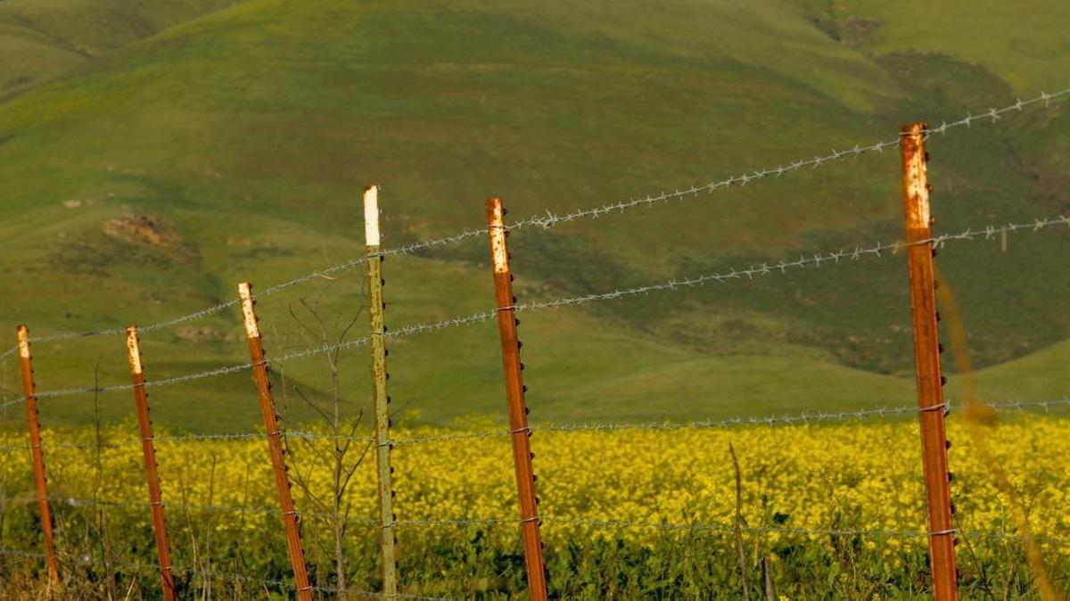 Red fence posts and yellow mustard flowers contrast with the green hills near Nipomo.