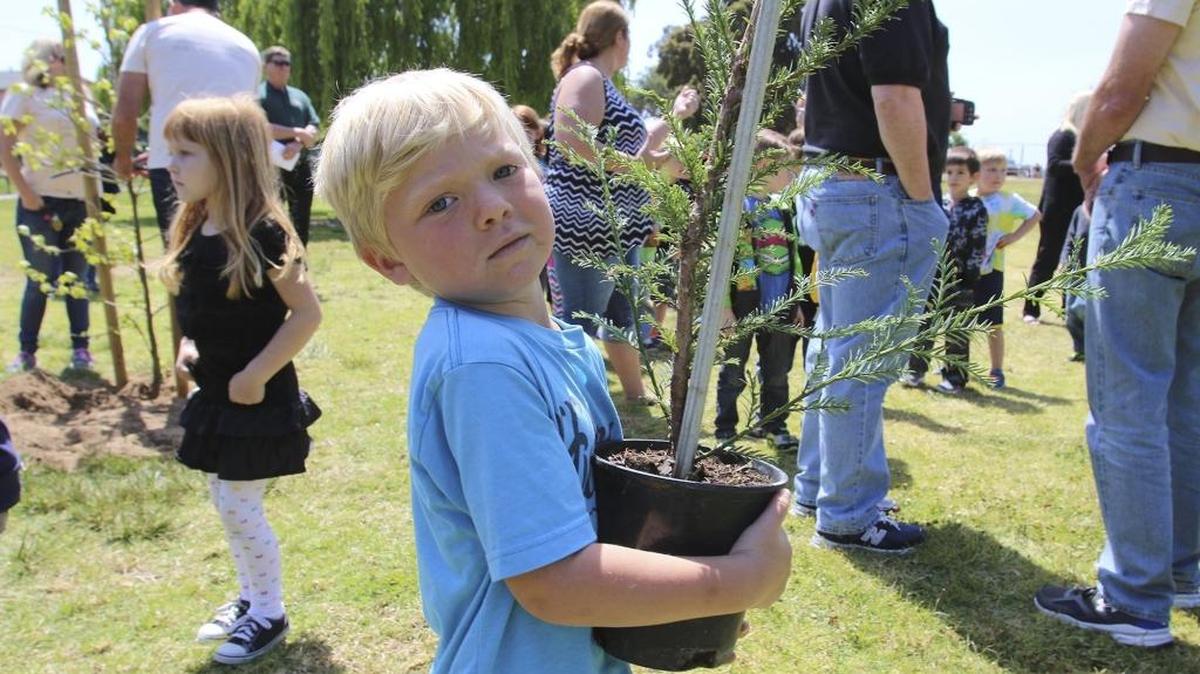 Preschool and kindergarten children from various local schools attended a tree planting on Friday at Arroyo Grande’s Elm Street Park in honor of Arbor Day. Here, Kyle Wilson, 5, holds a redwood sapling of his own.