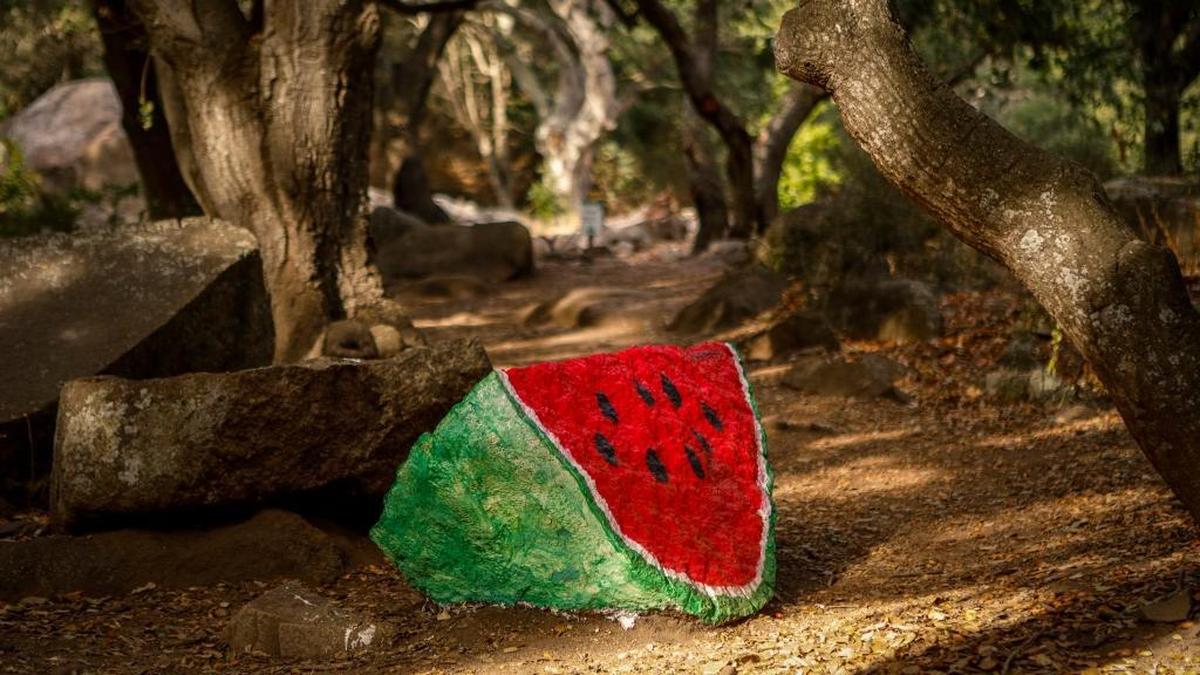 A rock along the Bishop Peak trail near Highland Drive was originally painted to look like a slice of watermelon in November.