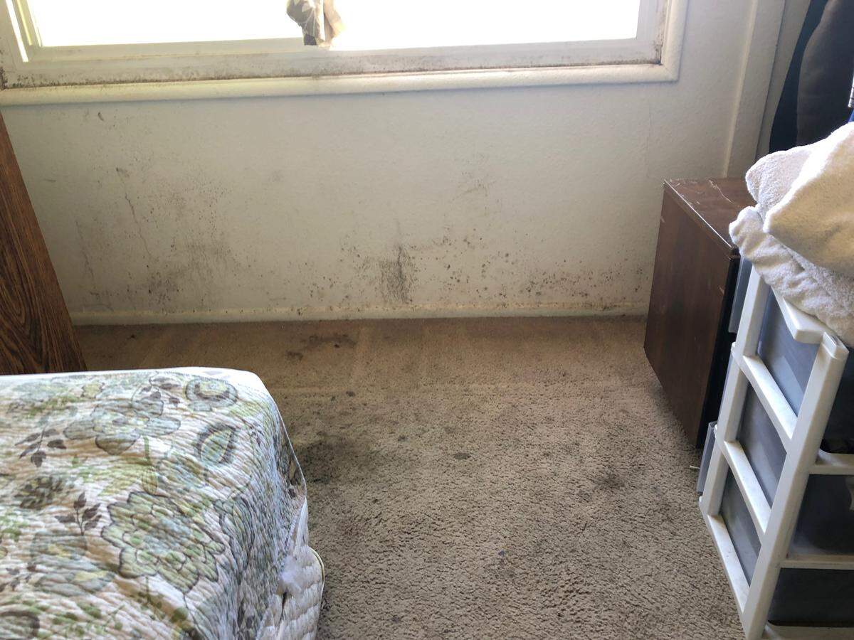 Mold covers the walls and floor of a Grand View resident’s bedroom.
