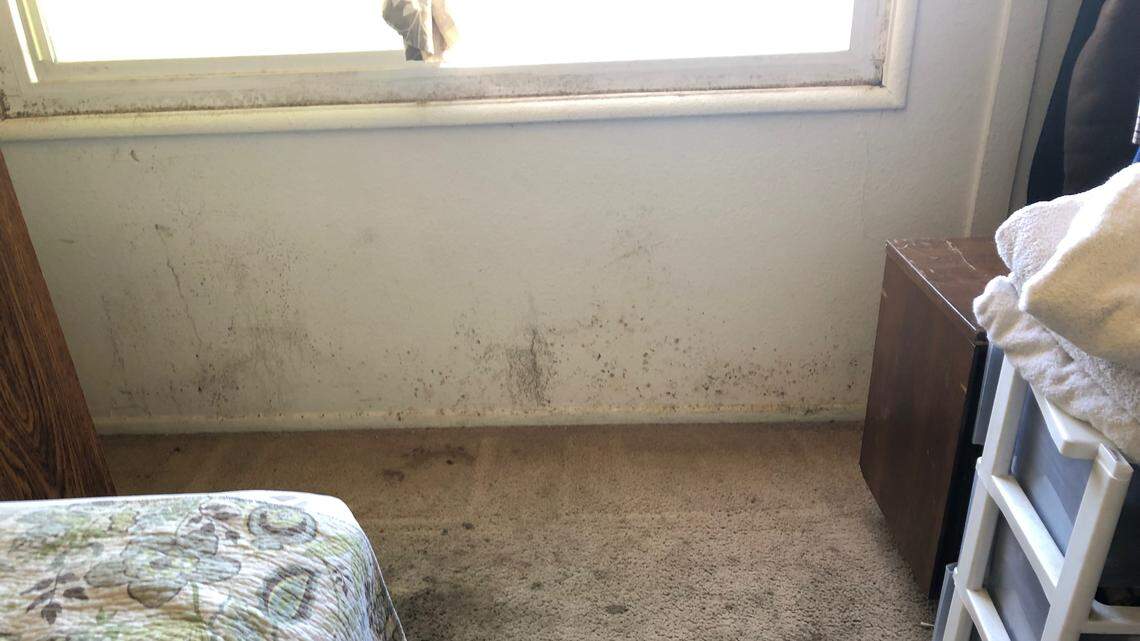 Tribune investigation: What it’s like for SLO County renters stuck in bad housing