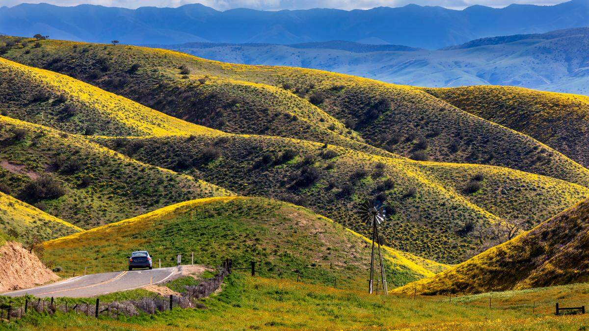 Colorful wildflowers carpeted the hills of the Temblor Range on the Carrizo Plain in 2025. The area along the eastern edge of San Luis Obispo County has been identified as a possible location for future oil and gas development.