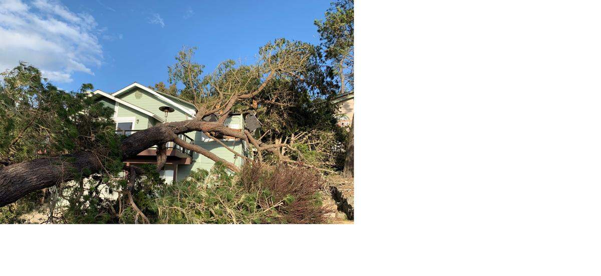 Cambria Firefighters showed a tree through a house on the 3100 block of Rogers Road.