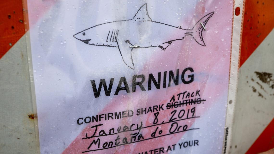 Officials posted a warning to beachgoers in Morro Bay and other beaches after a shark attacked a surfer in Monta–a de Oro. Photo by Joe Johnston 01-09-19