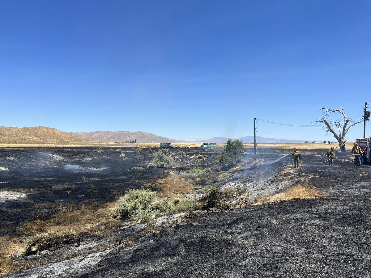 A fire burned 8.7 acres of grass in Cuyama Valley on Wednesday, June 21, 2023.