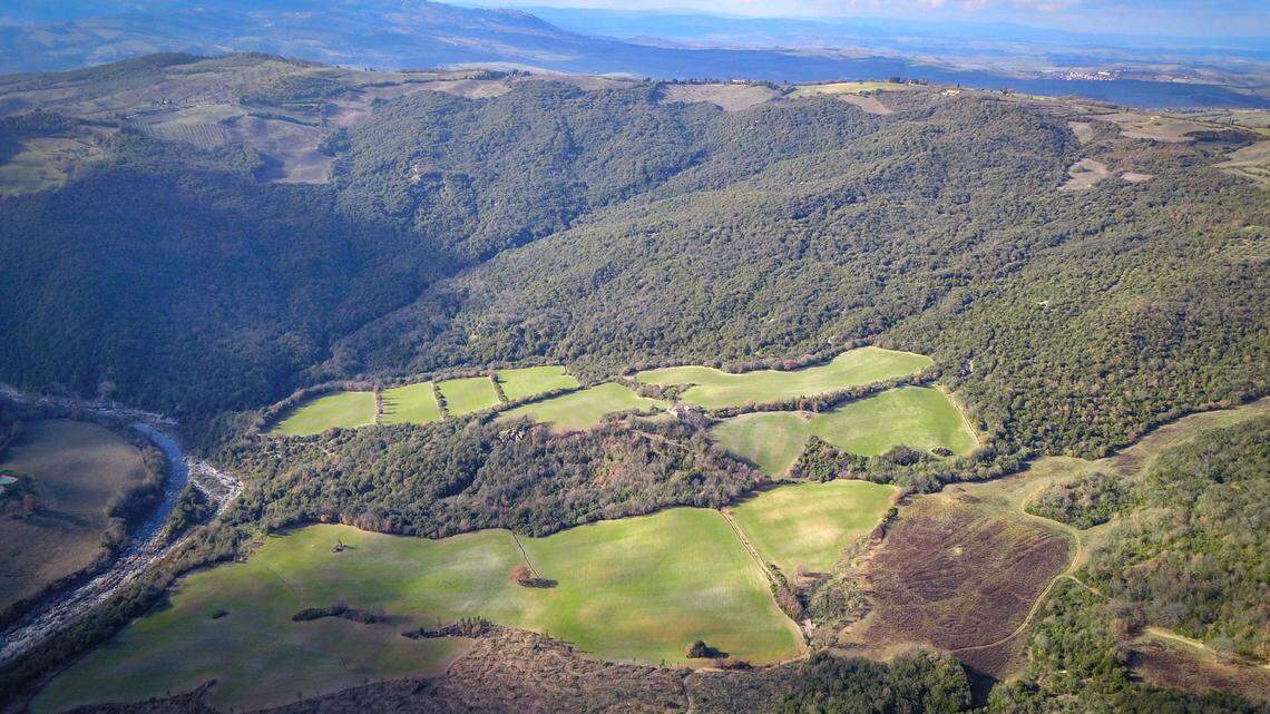 Paso Robles winery Daou is expanding to Italy with new 173-acre estate: ‘It’s so magical’