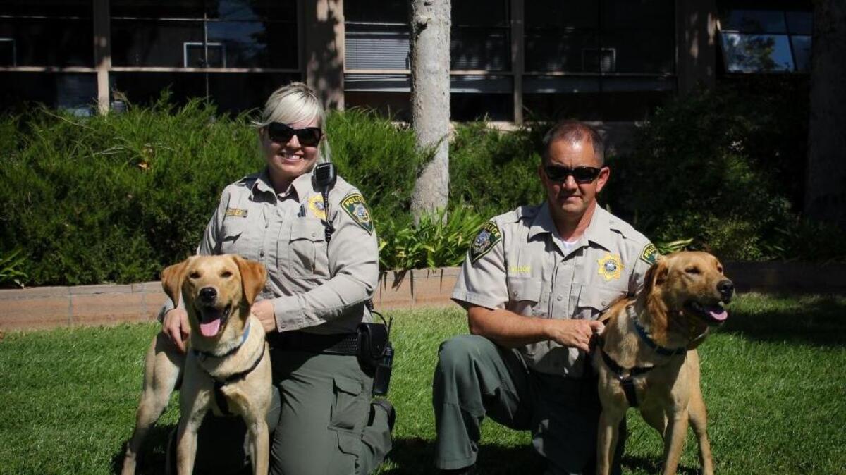 From left to right, Kilo and Booker are pictured with their handlers.
