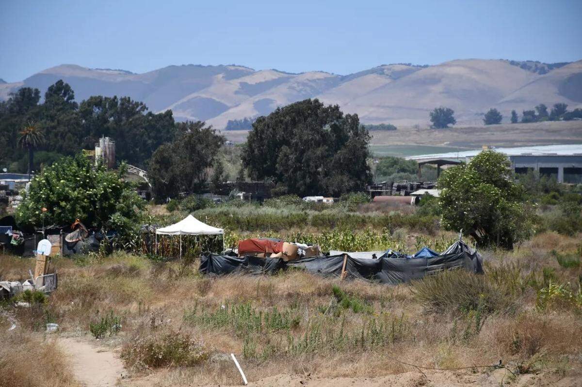 Workers remove homeless encampments in the Santa Maria Riverbed on Thursday, July 26, 2024, as part of a coordinated cleanup effort led by Santa Barbara County, although the area falls under the jurisdiction of San Luis Obispo County.