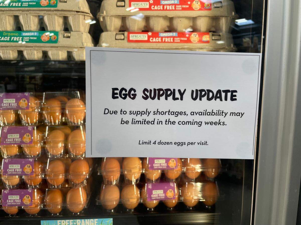 Sprouts in San Luis Obispo was limiting customers to only four dozen eggs as a national shortage made finding eggs difficult in January 2025. 