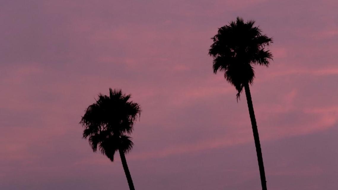 Smoke from the Canyon Fire makes for a rosy sunset behind two palm trees on South Higuera Street in San Luis Obispo.