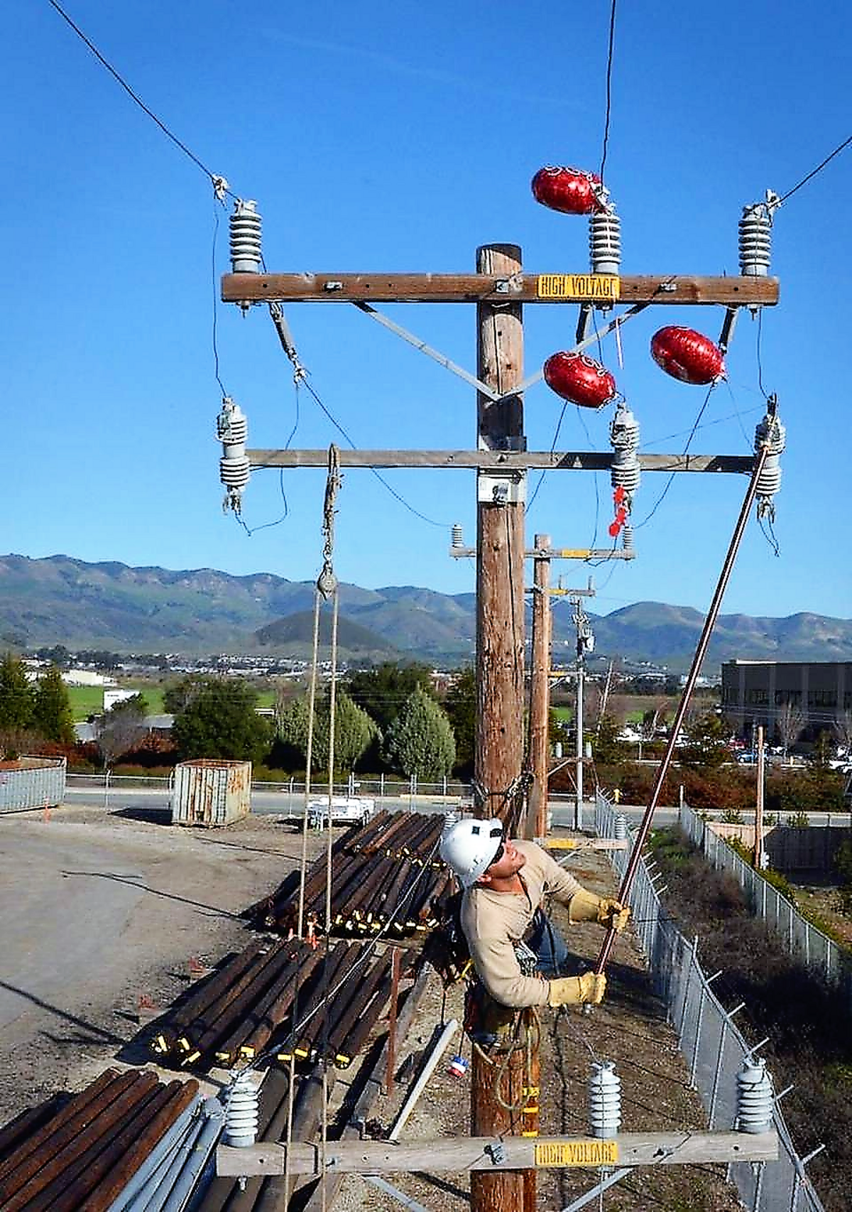 Mylar balloons tangled up in power lines.