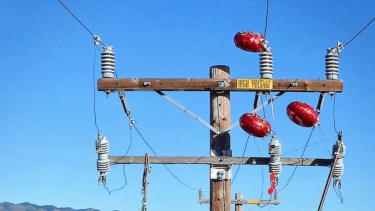 Mylar balloons tangled up in power lines.