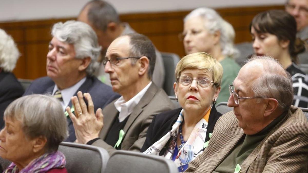 Melanie and Harvey Billig, at right, of Carmel, who are hoping to build a psychiatric hospital in Templeton, sit with other supporters wearing green ribbons during a San Luis Obispo County Planning Commission meeting in January 2016. Melanie Billig is a former San Luis Obispo mayor, and Harvey Billig is a former North County ophthalmologist.