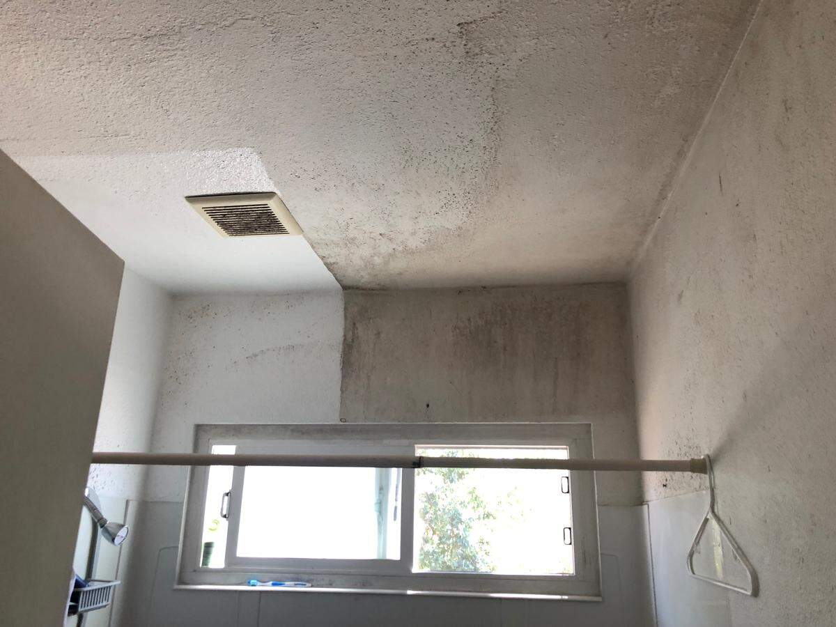 A Grand View tenant’s bathroom walls are covered with black mold.