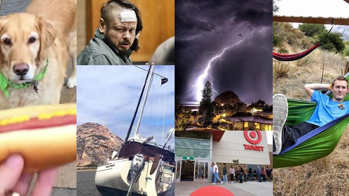 Among SLO County’s weirdest news stories: A dog that can’t catch, a man who ate poop in court, a surprising lightning storm, a ban on hammocks, porn at Target and a misadventure in Morro Bay.