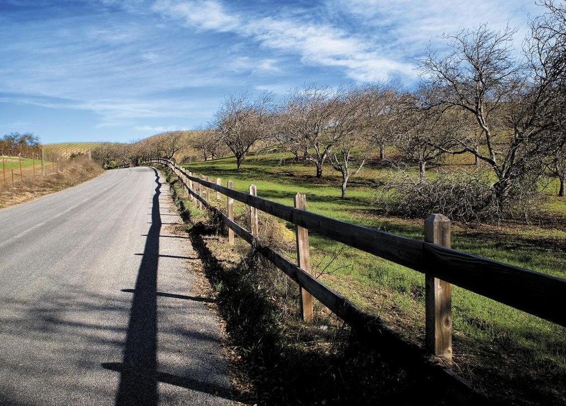 A scenic stretch of Peachy Canyon Road in Paso Robles.