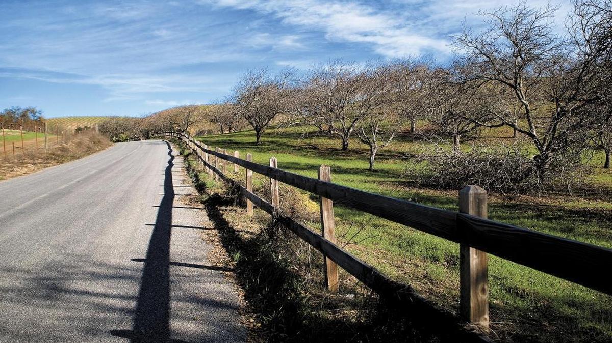 A scenic stretch of Peachy Canyon Road in the Adelaida area, one of the major roads included in a new vacation rental ordinance for the Adelaida/Willow Creek area of northern San Luis Obispo County.