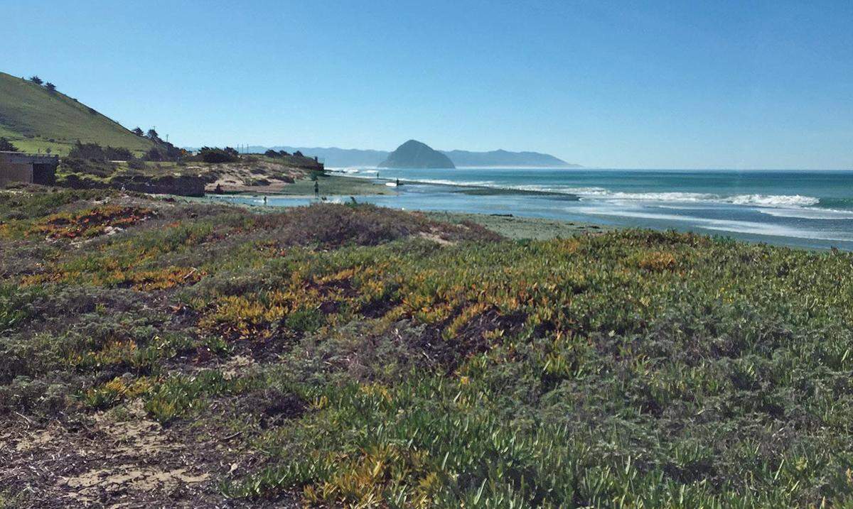 This stretch of rough trail through the Toro Creek area would be replaced and made more accessible once a planned 1.25-mile, $12 million multi-use path connects Cayucos with Morro Bay. A new 180-foot bridge is planned to be built over Toro Creek.