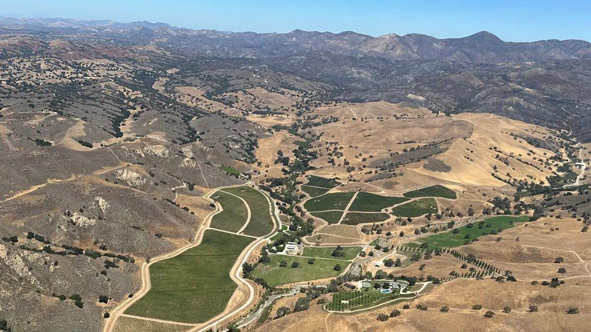The Kiani Preserve and vineyards in the Santa Ynez Valley, where President Biden and First Lady Jill Biden reportedly may be vacationing this week.