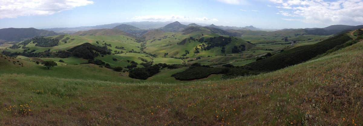 A springtime view looks over some of the 266 acres of La Cuesta Ranch land purchased by the city of San Luis Obispo as open space.