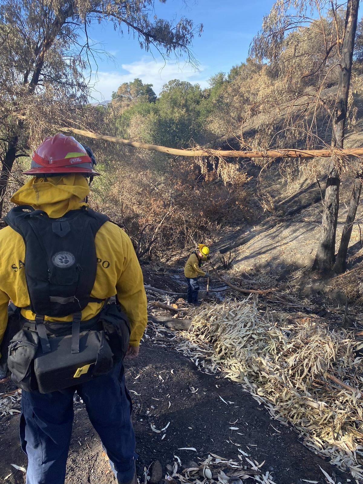 San Luis Obispo City Fire Department firefighters work to extinguish “hot spots” on the Lizzie Fire burn scar on Tuesday, Nov. 21, 2023.