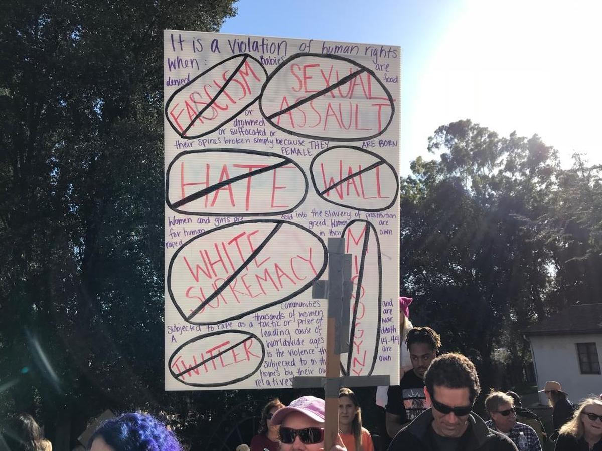Signs from Saturday’s “Hear Our Vote: Voices of Resistance Rally.”