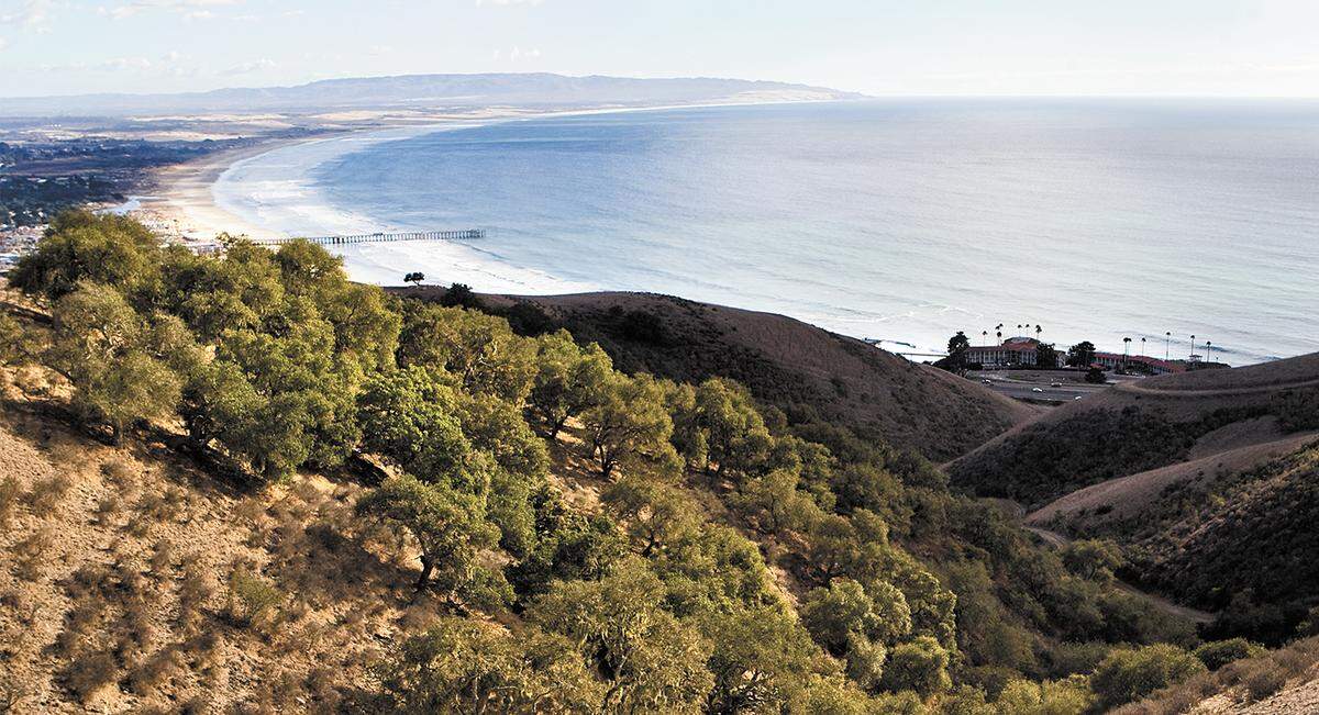 The Pismo Preserve near Pismo Beach has 11 miles of hiking trails.