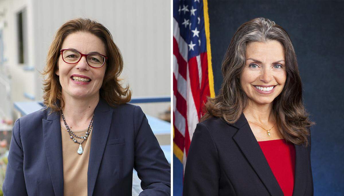 Dawn Addis is challenged by Dalila Epperson in the race for the District 30 state Assembly seat.
