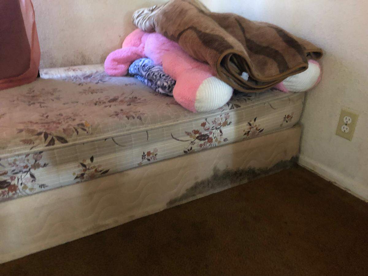 A bed in a Grand View tenant’s apartment has mold growing near the bottom.