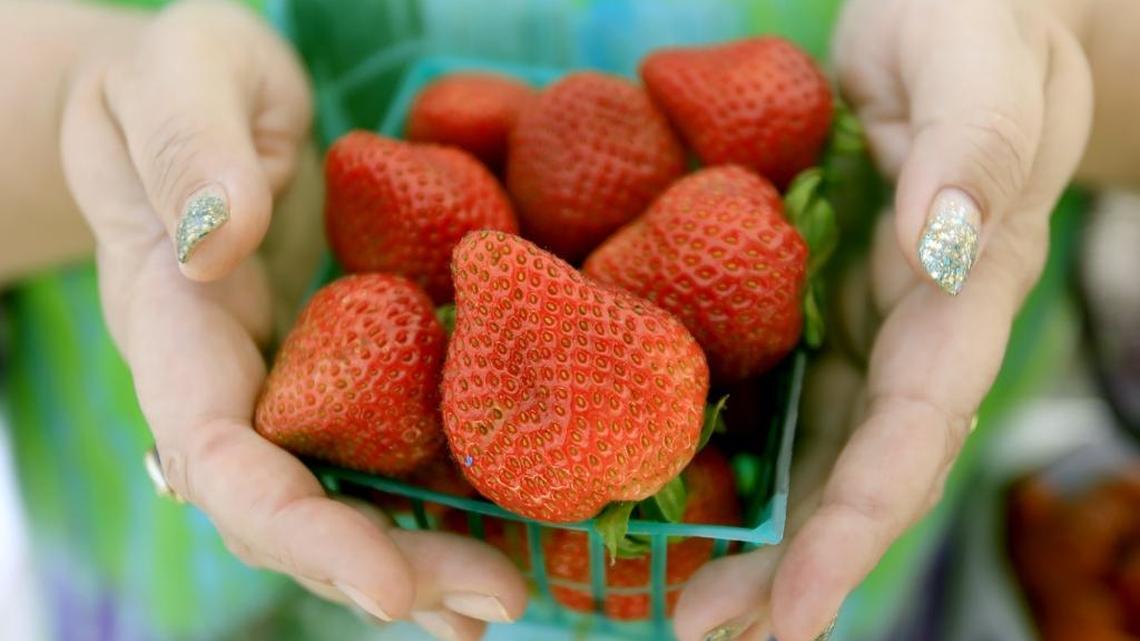Several Northern California farms are letting people come and pick their own berries and fruits in spring and summer 2024.