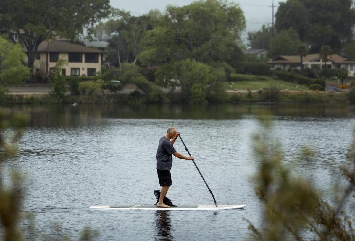 A stand up paddle boarder takes his dog for spin on Atascadero Lake in April, despite the spring rain.