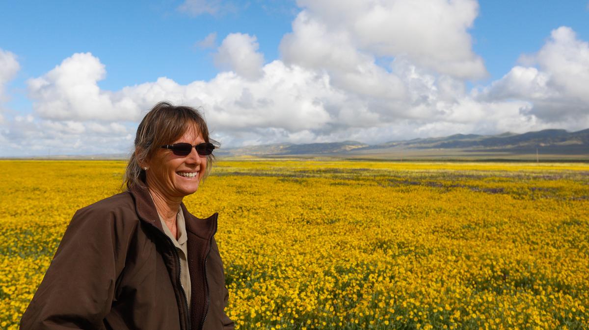 Johna Hurl, manager of the Carrizo Plain National Monument, prefers not to use the term super bloom when describing the wildflowers covering the area. However, she is planning for a larger than average number of visitors this year, as people flock to see the bloom.