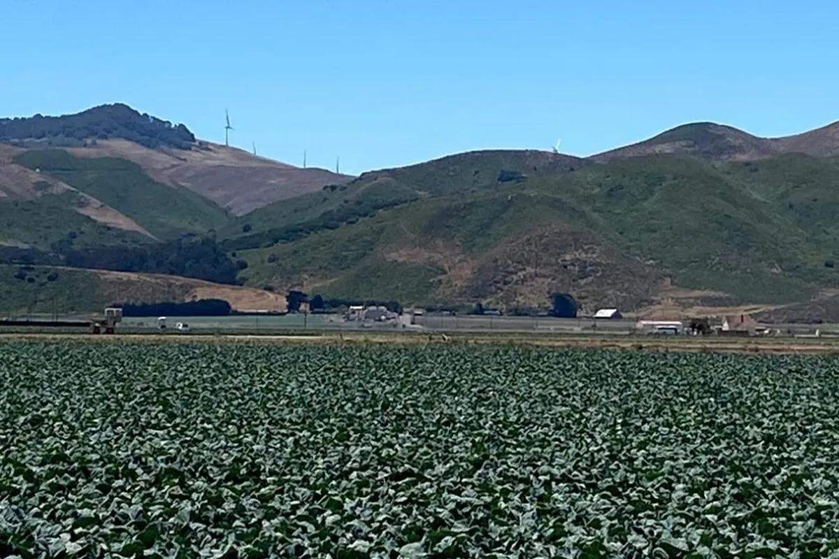 Across acres of farm fields, wind turbine generators can be seen on the ridge southwest of Lompoc. The Strauss Wind Energy Project can generate electricity for 40,000 homes.