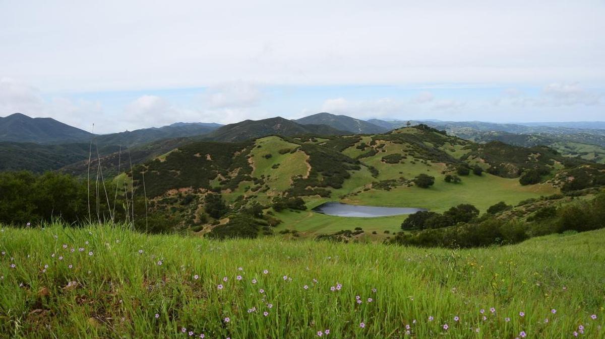 The view from Eagle Ranch near Atascadero.