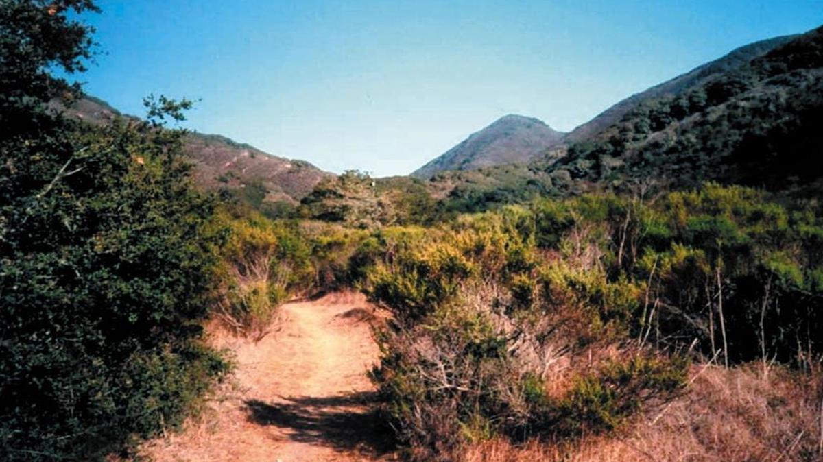 Hike the Coon Creek Loop in Montana de Oro State Park on Tuesday, March 28, 2017.