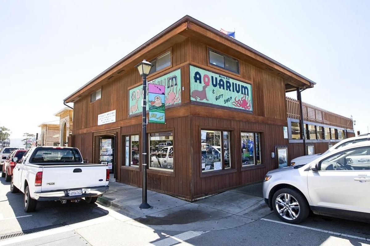 A new aquarium is planned to replace Morro Bay’s existing facility at 595 Embarcadero.