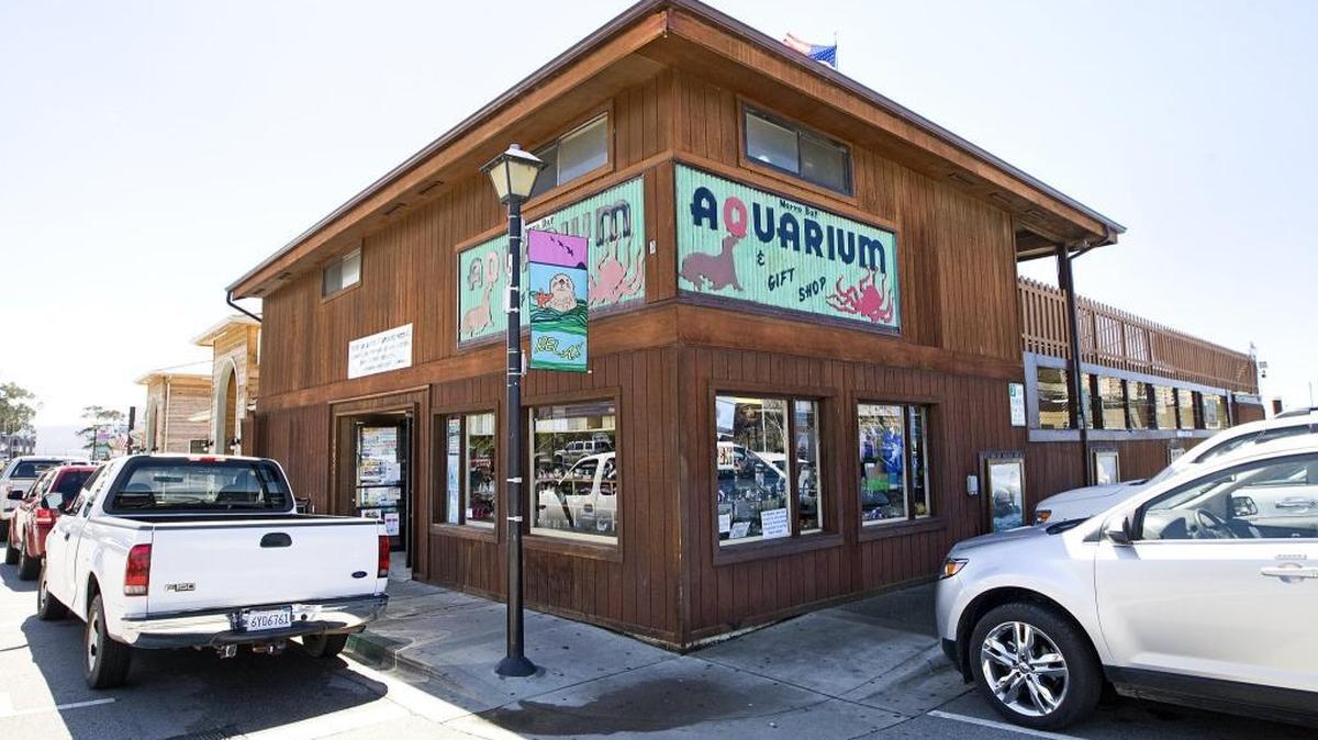 A new aquarium is planned to replace Morro Bay’s closed facility at 595 Embarcadero.