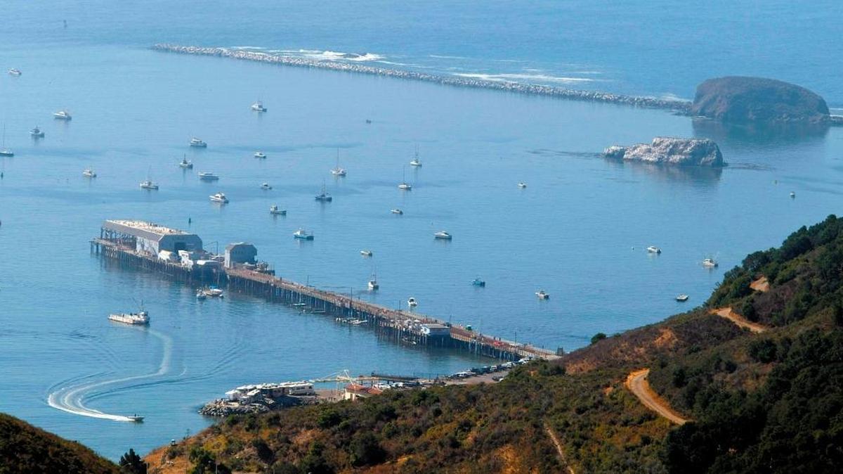 A view of Port San Luis.