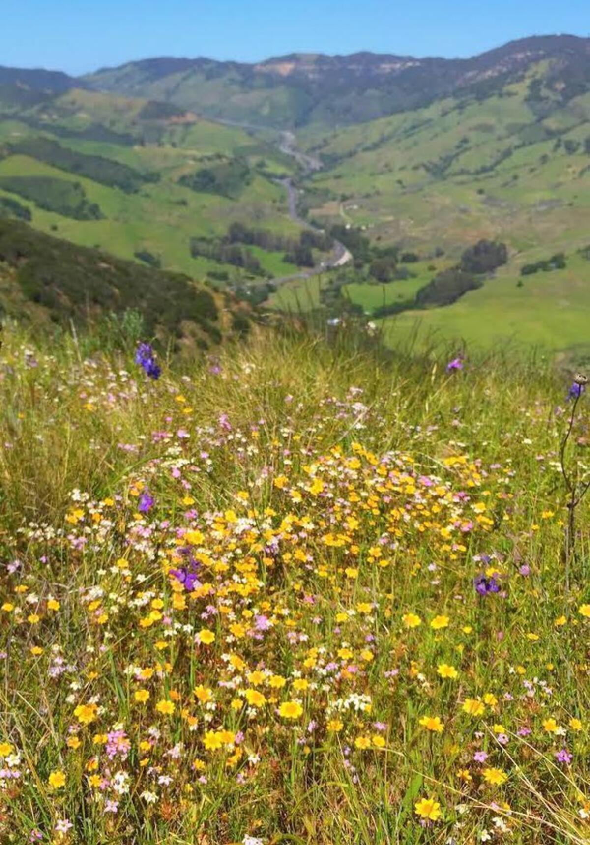 Top of Reservoir Canyon. (March 2017)