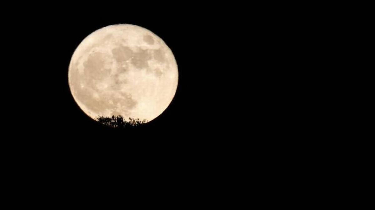 A supermoon rises above an oak tree near Creston Road outside of Paso Robles. Supermoons happen when a full moon approximately coincides with the point in the moon’s orbit when it’s closest to Earth.