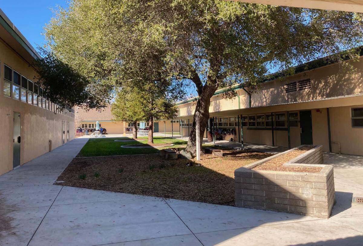 Santa Margarita Elementary School students turned this dirt area into a butterfly garden.