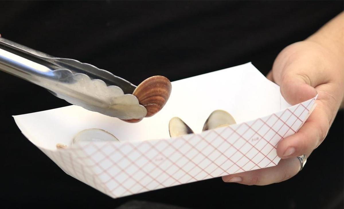 The 71st annual Pismo Beach Clam Festival was held next to Pismo Pier on Friday, Saturday and Sunday.