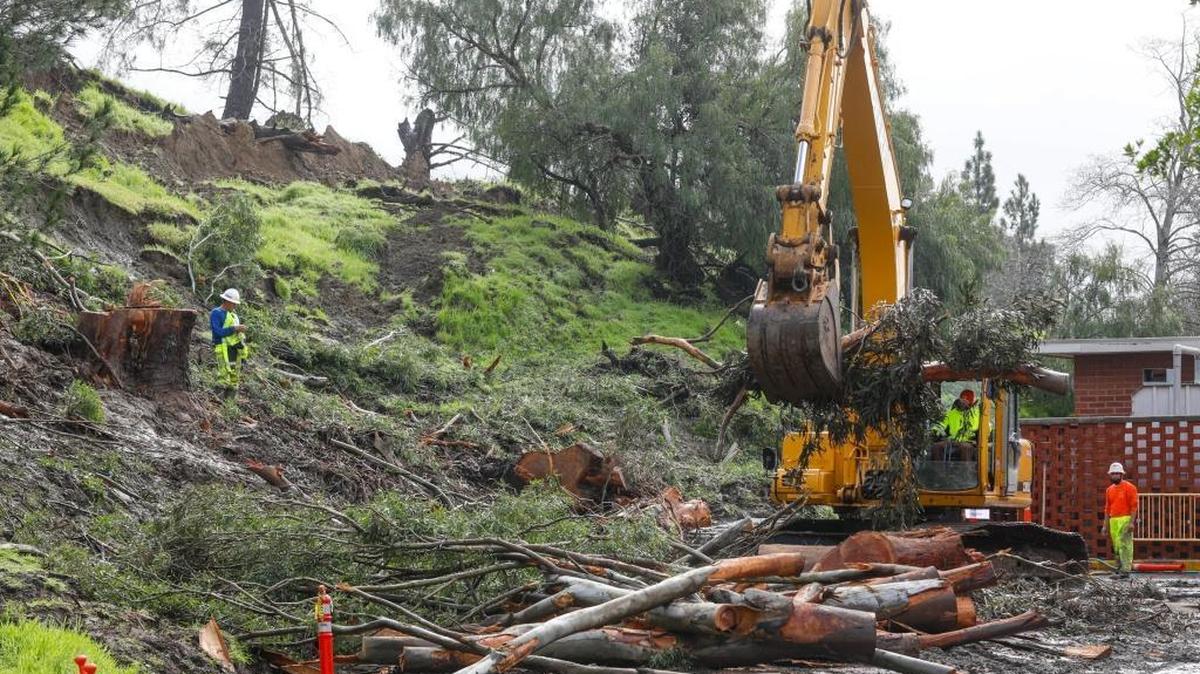 Workers clear eucalyptus tree branches Tuesday from the slipping hillside behind Cal Poly’s Fremont Hall.