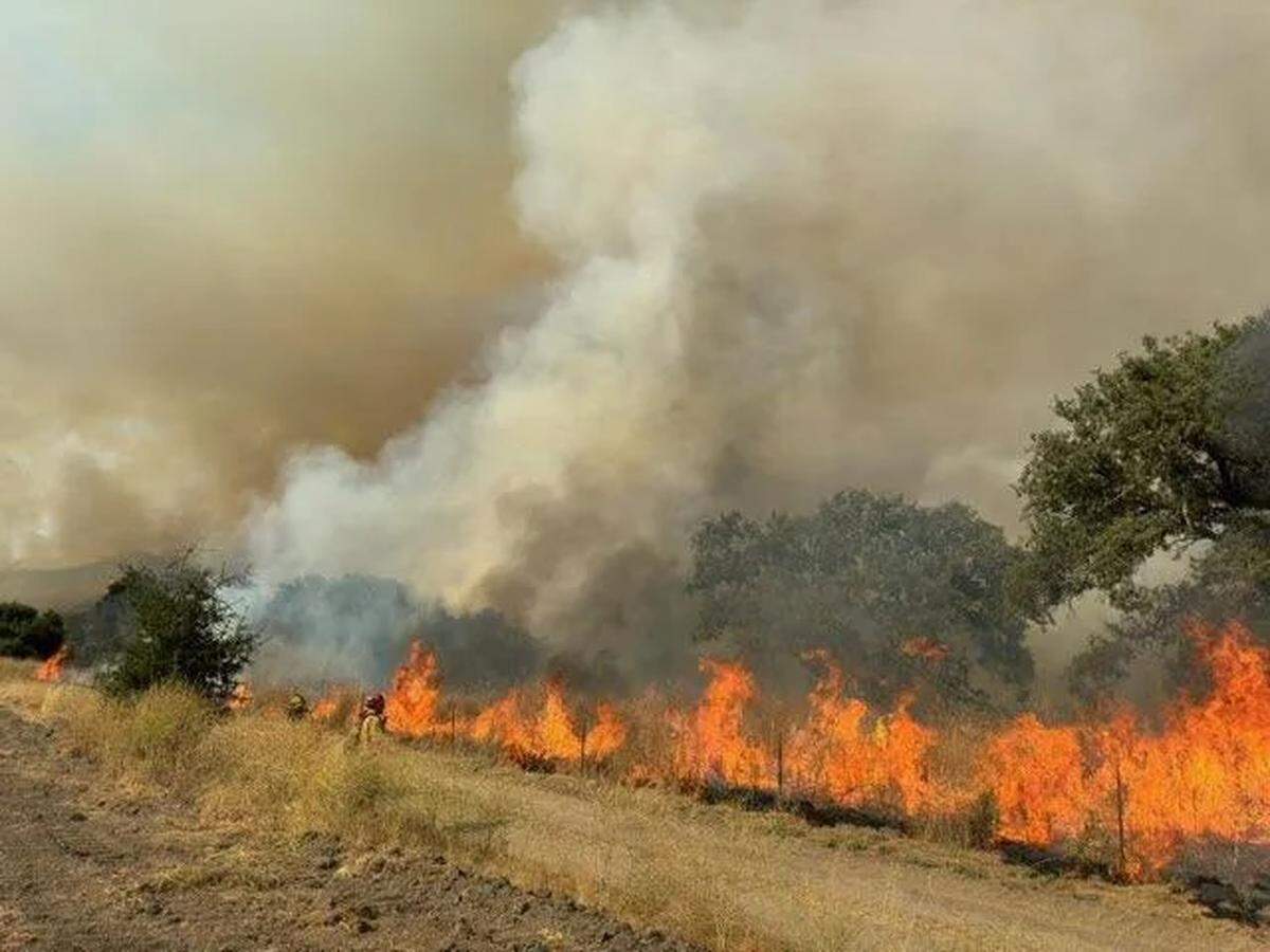 The Lake Fire burns the Sedgwick Reserve area of the eastern Santa Ynez Valley on Wednesday.