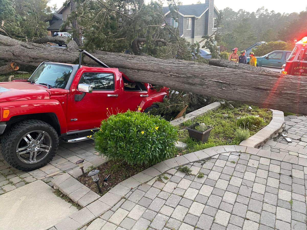 A large tree fell onto parked cars outside a home on Richard Drive in Cambria on Tuesday, Feb. 21, 2023.