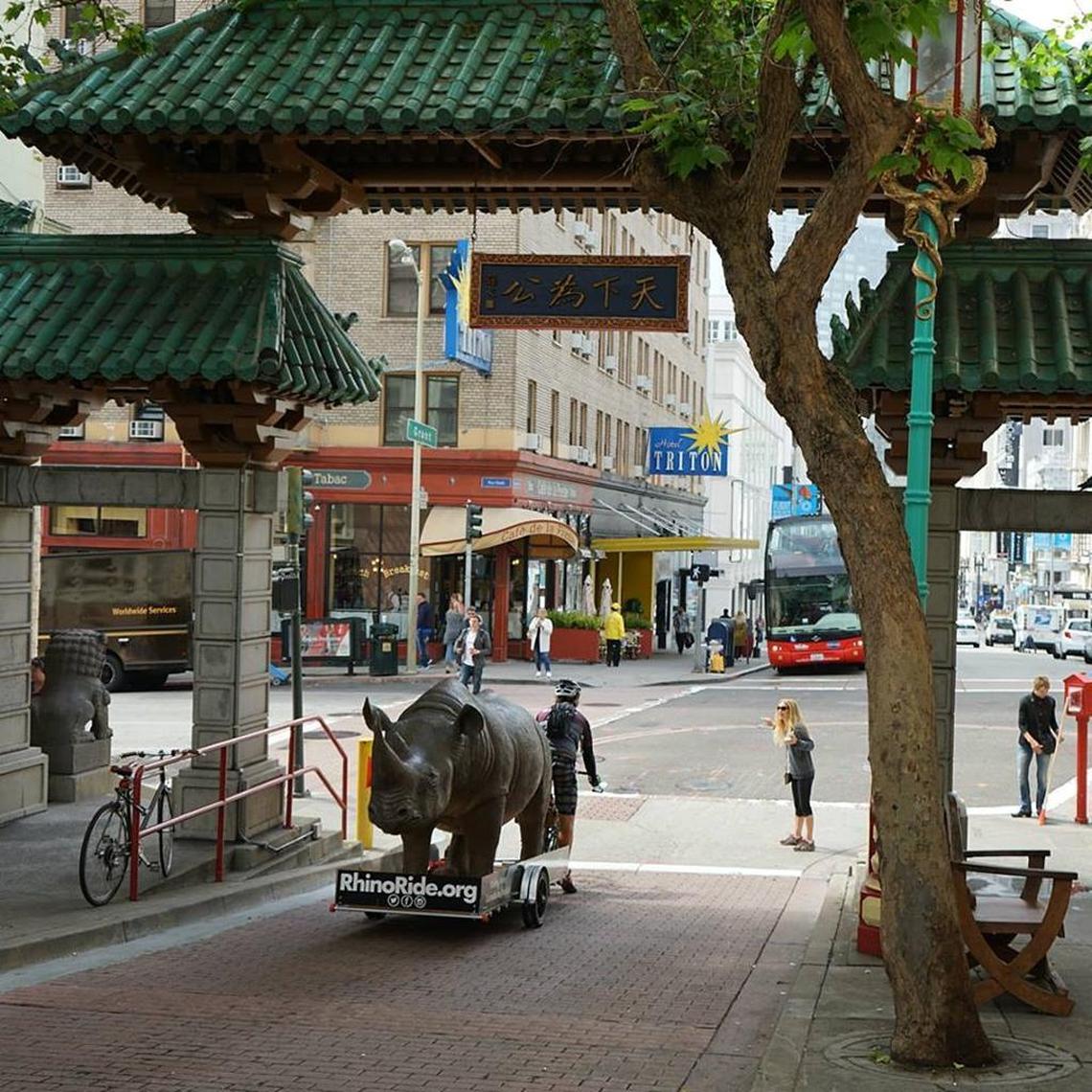South African Matt Meyer is riding his bicycle down the West Coast pulling a nearly 350-pound rhinoceros replica in an effort to raise funds and awareness for the poaching crisis in his home country. Meyer is expected to pass through San Luis Obispo County early next week.